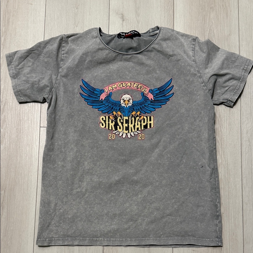 Sirs Seraph Gray Graphic Tee for Kids